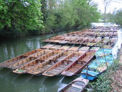 Punts in Oxford