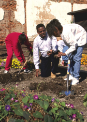 Project leader and students discuss soil quality in a garden the students built themselves.