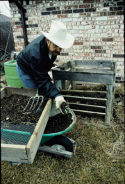 A homeowner sifts soil made from his compost bin in background. Composting is an excellent way to recycle household and yard wastes.