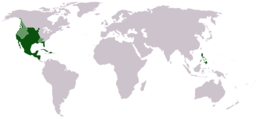 Territories of the Vice-Royalty of New Spain. A part of the Spanish Empire.