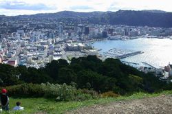 Wellington from Mount Victoria