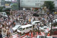  Top view of the Shibuya Crossing