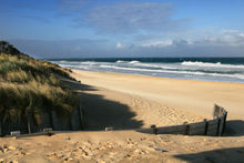 Beaches make popular tourist resorts.