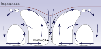 Tropical cyclones form when the energy released by the condensation of moisture in rising air causes a positive feedback loop over warm ocean waters.