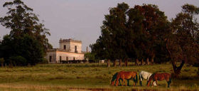 A heartland of historic estancias : Estancia San Eugenio, Casupá, southern department of Florida