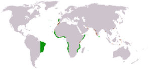 Map of the Portuguese Empire during the reign of John III (1502–1557).