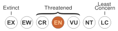 Image:Status iucn3.1 EN.svg