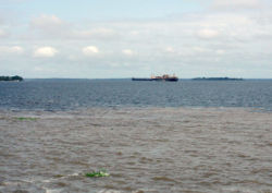 The Amazon near Manaus