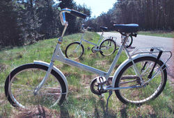 In the Netherlands, bicycles are made available for use in national parks