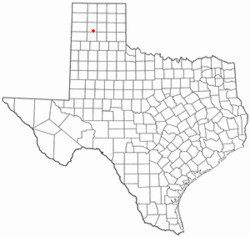 Location within the state of Texas