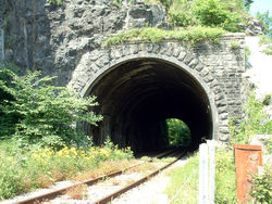 The Portishead Railway runs through a short tunnel under the bridge buttress.