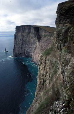 Stappen bird cliff at Bjørnøya