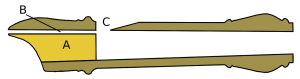 Cross-section of the head of a recorder