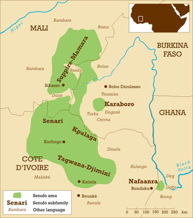 Map of the Senufo language area showing the major groups and some neighbouring languages.