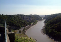 The Avon Gorge, home to several unique plant species.