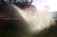 Water under pressure from a sprinkler.