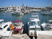 Some boats in a harbor in Miami Beach, Florida.