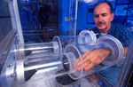 An entomologist demonstrates the attraction of female yellow fever mosquitoes to his hand in an olfactometer.