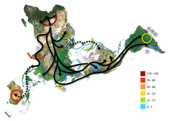 Map of early human migrations, according to mitochondrial population genetics (numbers are millennia before the present).