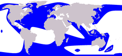 Orca range (in blue)