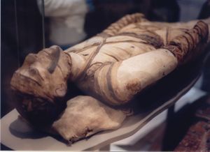 Tubercular decay has been found in the spines of Egyptian mummies. Pictured: Egyptian mummy in the British Museum.