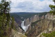 Lower Yellowstone Falls where the Yellowstone River plunges into the Grand Canyon of the Yellowstone.