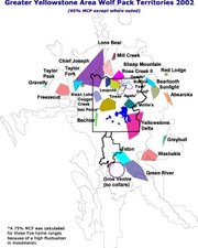 Map showing the ranges of wolf packs that were reintroduced into Yellowstone.