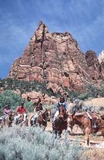 Horseback riding in Zion