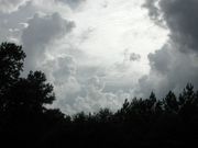 Cumulonimbus clouds showing strong updrafts