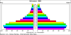 Population pyramid