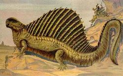 Artist's impression of Dimetrodon.