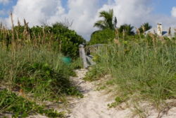 A footbridge provides beach access and protects dunes