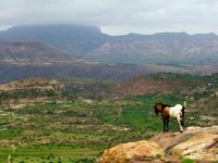 Ethiopian highlands