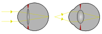 Light from a single point of a distant object and light from a single point of a near object being brought to a focus.