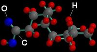 This is a computer generated image of Dodecanoic Acid, a fatty acid.