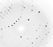 An X-ray diffraction image for the protein myoglobin.