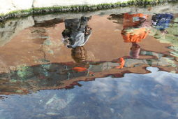 Two people reflected in the water of a fish pond.