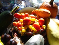 An arrangement of fruits commonly thought of as vegetables, including tomatoes and various squash.