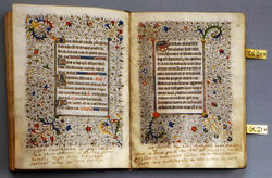 Mary's personal breviary, which she took with her to the scaffold, is preserved in the Russian National Library of St. Petersburg.