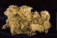 A gold nugget