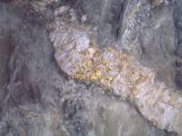 Gold in a quartz vein