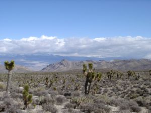 Typical desert scene in the Las Vegas area.