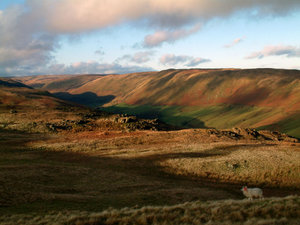 The valley of Borrowdale from Grayrigg Forest