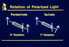 Pasteur's experiment proved paratartrate does not rotate polarized light while tartrate does.