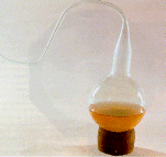 Modified version of florence flask (Swan flask) made by Pasteur in his experiment for disproving spontaneous generation theory.