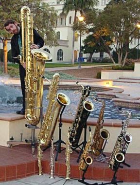 Ten members of the saxophone family. From largest to smallest: contrabass, bass, baritone, tenor, C melody, alto, F mezzo-soprano, soprano, C soprano, and sopranino.