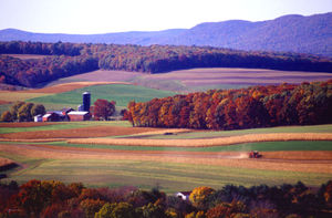 A confluence of "natural" and a "made" environment.