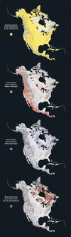 Sedimentary, volcanic, plutonic, metamorphic rock types of North America. 