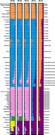 Human population structure can be inferred from multilocus DNA sequence data (Rosenberg et al. 2002, 2005). Individuals from 52 populations were examined at 993 DNA markers. This data was used to partitioned individuals into K = 2, 3, 4, 5 or 6 clusters. In this figure, the average fractional membership of individuals from each population is represented by horizontal bars partitioned into K colored segments.