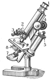 Basic microscope main elements: 1. ocular lens or eye-piece 2. objective turret, or nosepiece 3. objective lenses 4. coarse adjustment knob 5. fine adjustment knob 6. object holder or stage 7. mirror 8. diaphragm and condenser